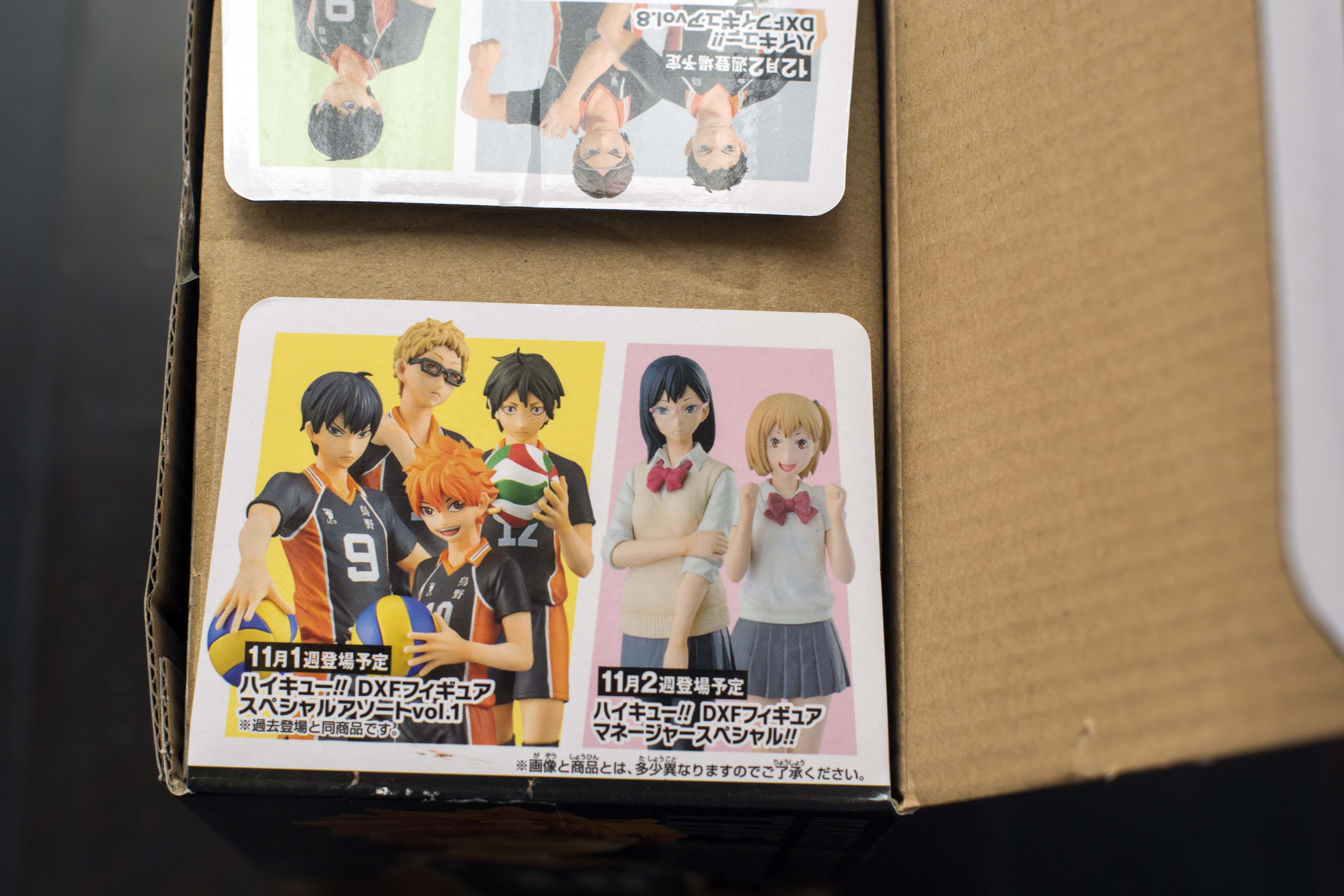 Haikyu - Hinata Shoto Light Box (Shipping Calculated At Checkout) – flyingraijinotakufactory